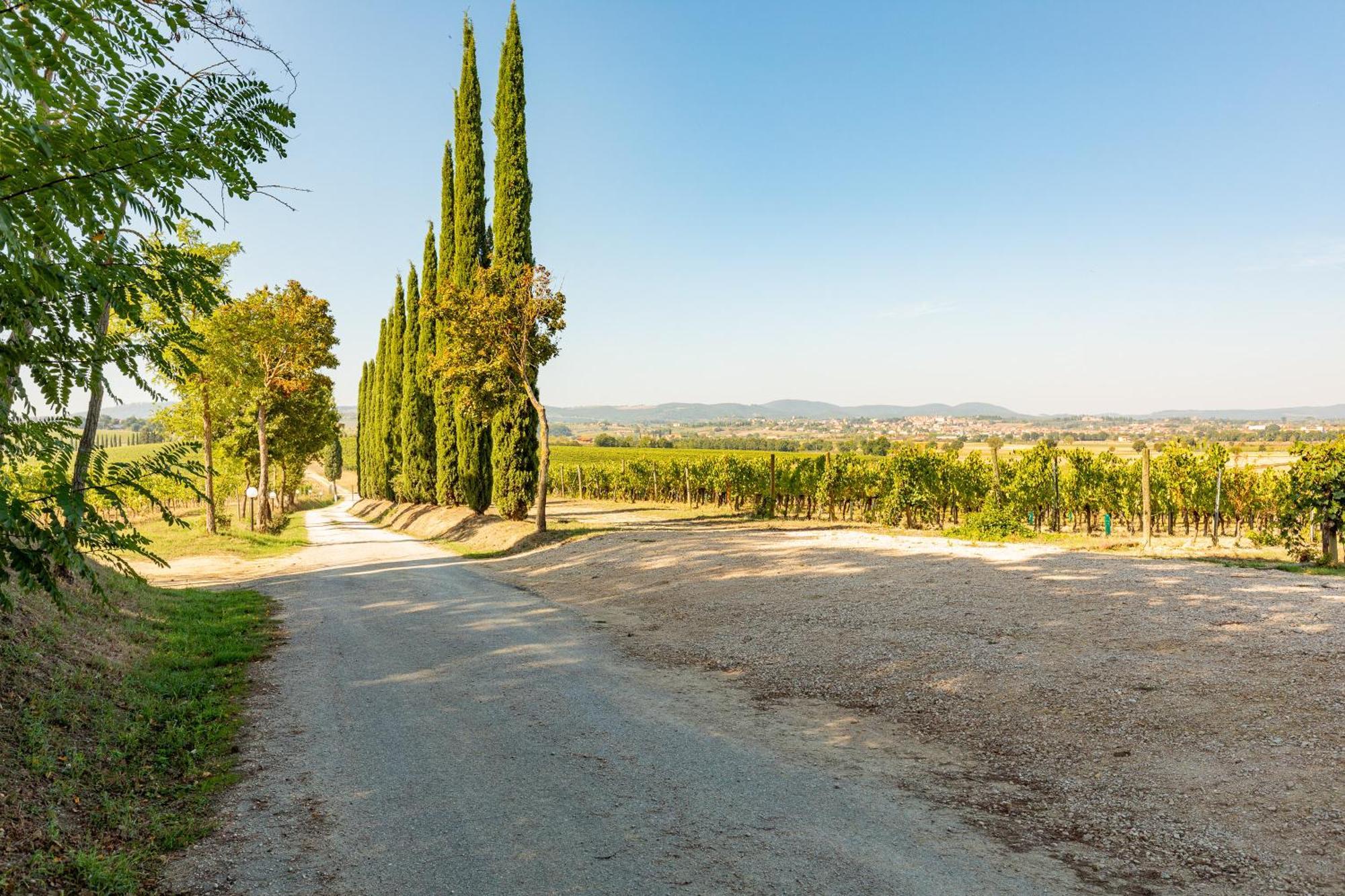 Appartamento Greppino Montepulciano Stazione 외부 사진