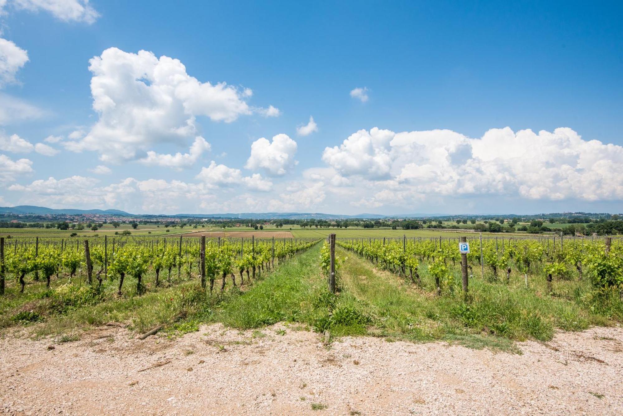 Appartamento Greppino Montepulciano Stazione 외부 사진